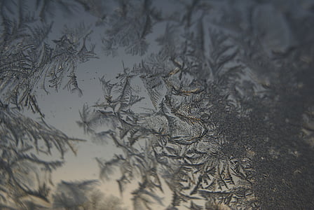 冰晶体, 冰, 冬天, 冻结, 结霜, 窗口, 背景