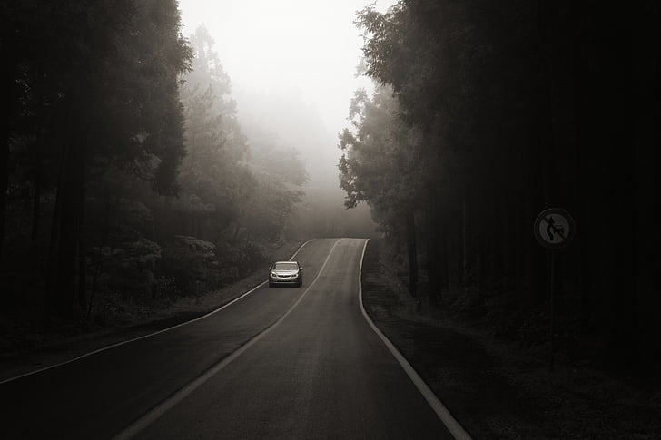 jeju island, bijarimro, a black and white photo, drive, car, road
