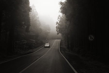 ostrov Jeju, bijarimro, černo-bílé fotografie, jednotka, auto, cesta