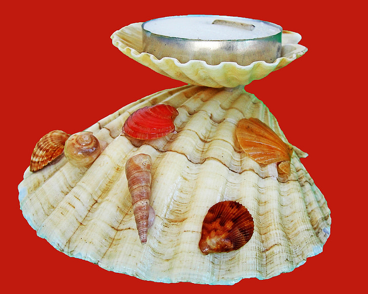 candle holders, crafts, shells, sea shells