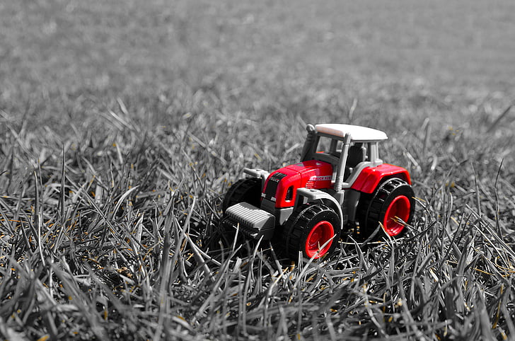 rød, traktor, leketøy, modell, gresset, sesongen, lyseffekt