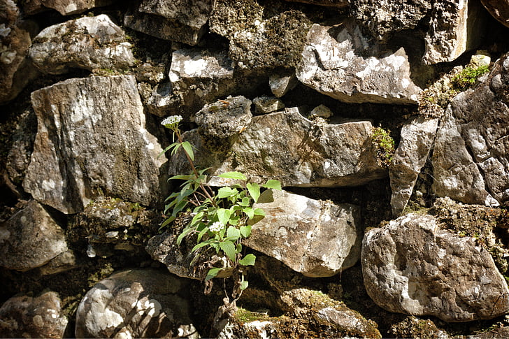 Quarry stone, väggen, konsistens, bakgrund, mönster, sten, struktur