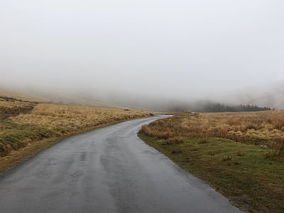 foggy, roadway, wet, fog, drive, misty, curve