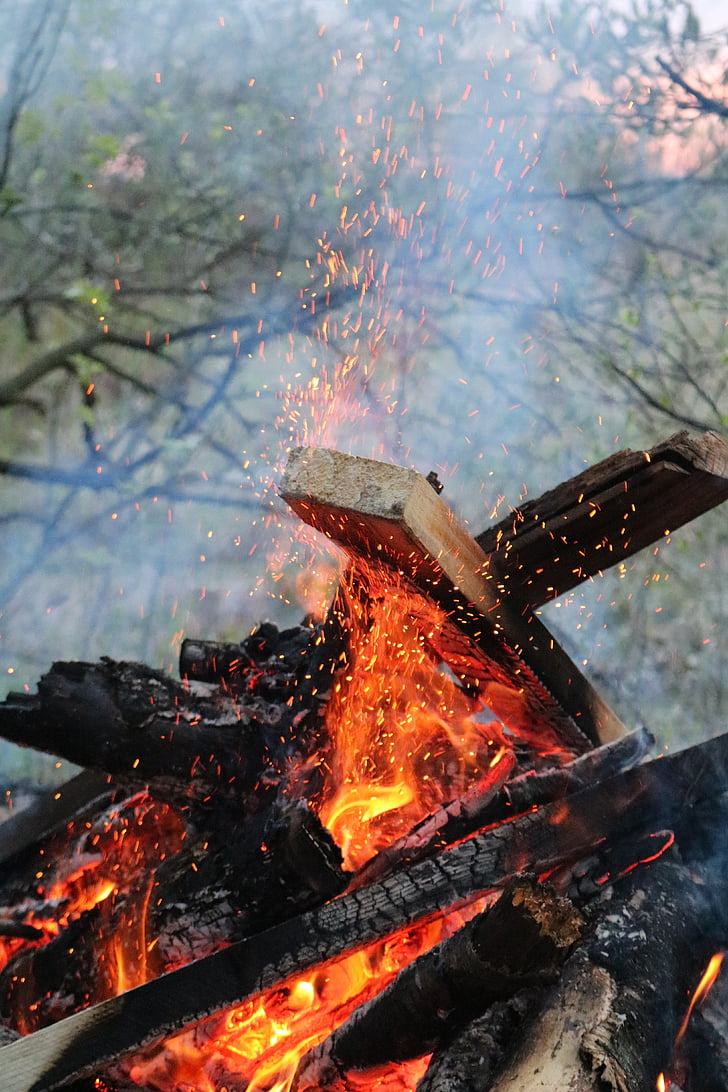 Koster, jar, palivové drevo, oheň, popáleniny, Spark, uhlíky