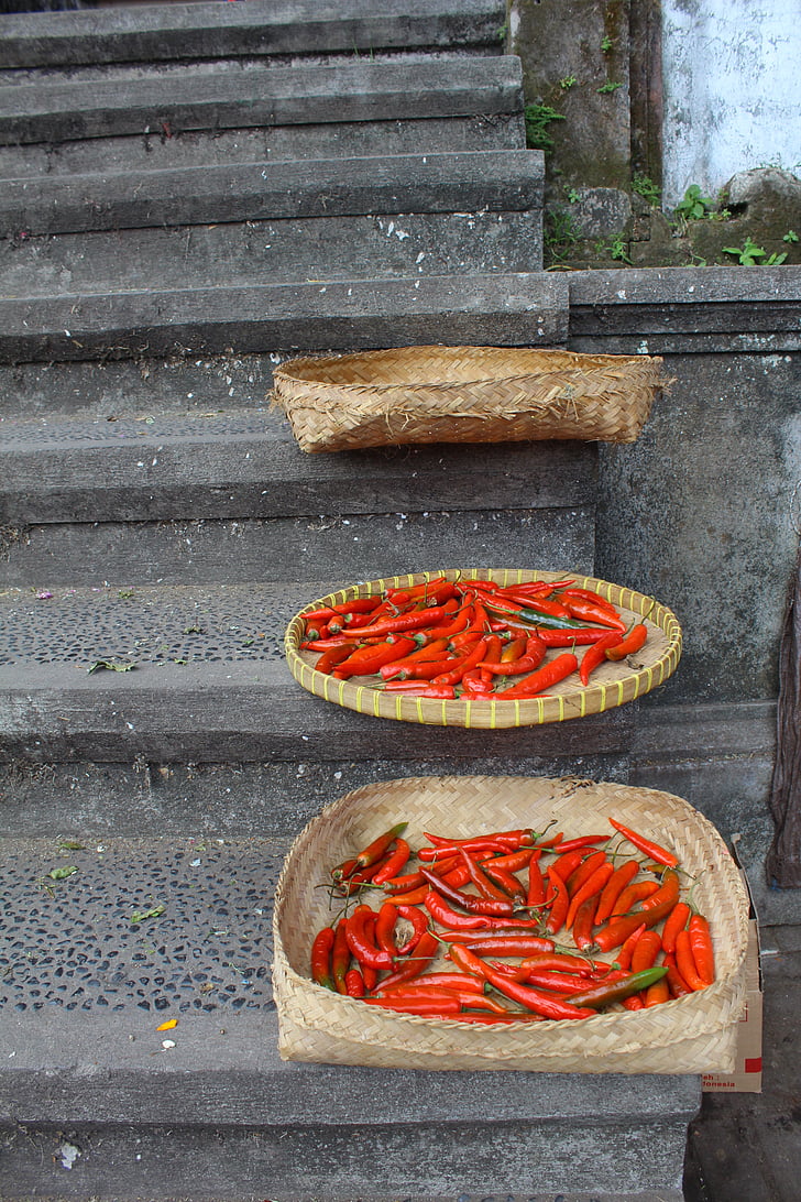 Ilha de Lebar cm, pimenta vermelha, Red hot chilli peppers
