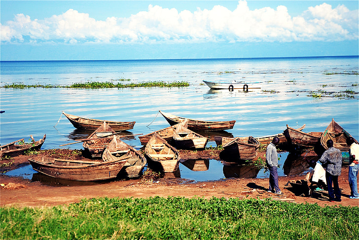 jezera victoria, jezero, Uganda, brodovi, Afrika