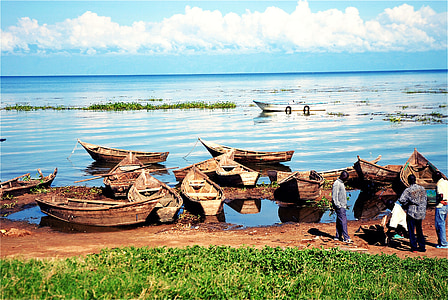 Victoriasjön, sjön, Uganda, båtar, Afrika