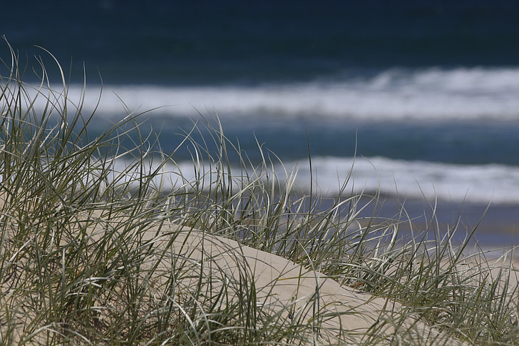 beach, summer
