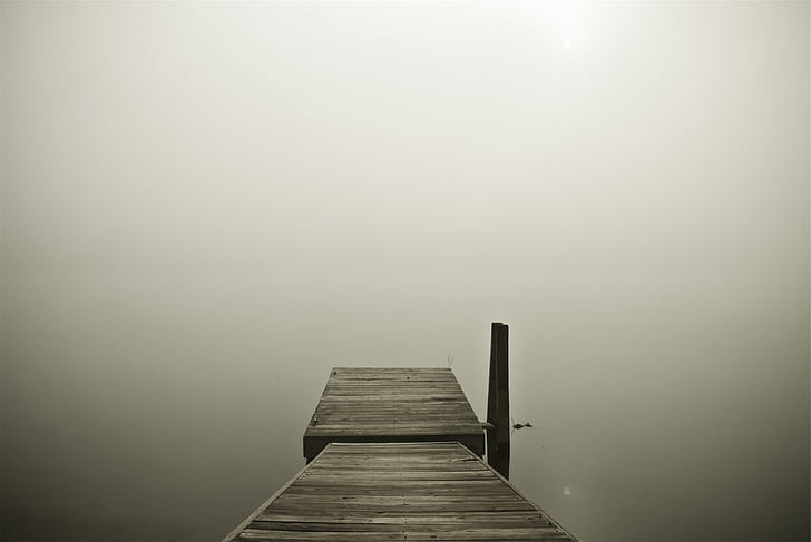 focused, photography, river, dock, wood, fog, lake