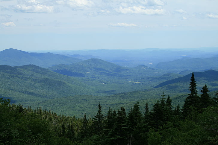 kalni, Vermont, attālums, daba, kalns, meža, koks