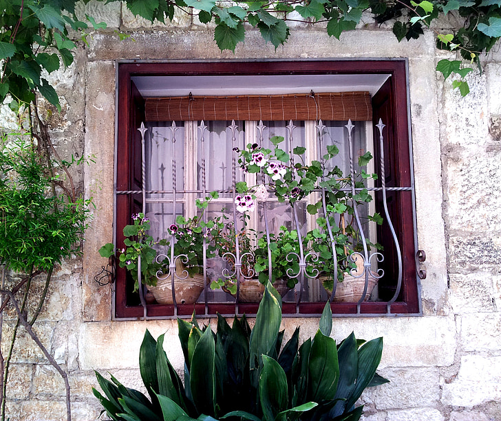 finestra, flor, Faye, casa, planta, jardí, verd