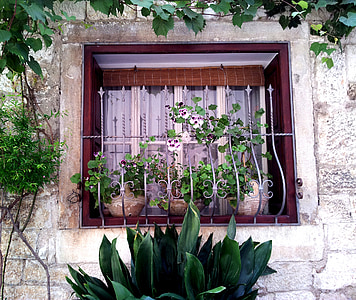 ventana, flor, Faye, Casa, planta, jardín, verde