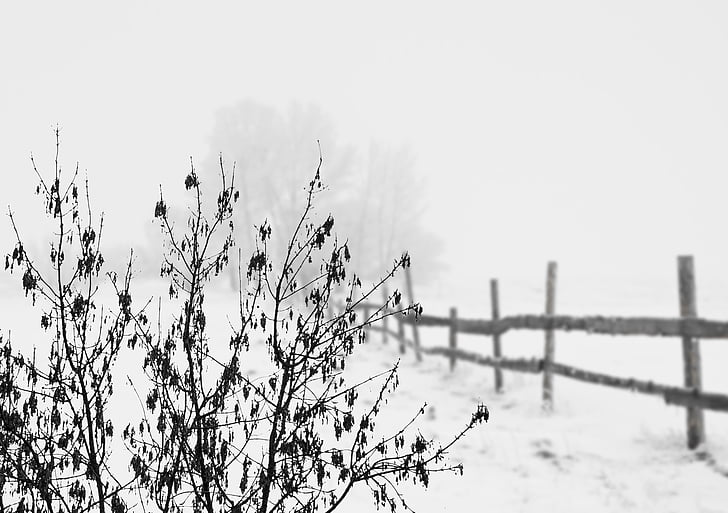 hó, téli, hideg, táj, kerítés, téli, fehér