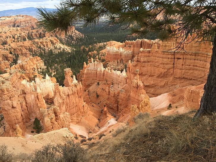 Bryce canyon, parku, Příroda, kaňon, Bryce, Národní park, červená