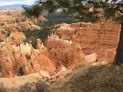 Bryce canyon, Park, narave, Canyon, Bryce, National park, rdeča