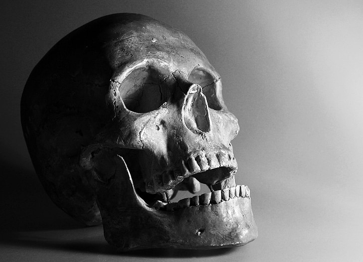 crani, OS, somriure, crani humà, Halloween, mort, esgarrifós