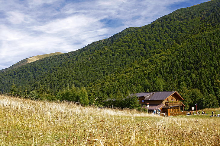 natura, Cottage, autunno, Slovacchia, paese, montagne, Fatra