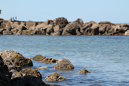 beach, stones, sea, rock, water, ocean