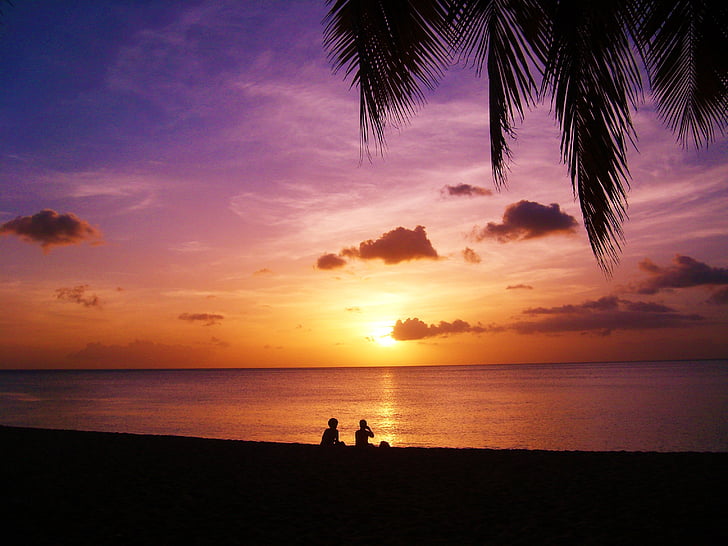 západ slnka, Beach, Guadeloupe, more, večer, Palm, svetlo a tieň
