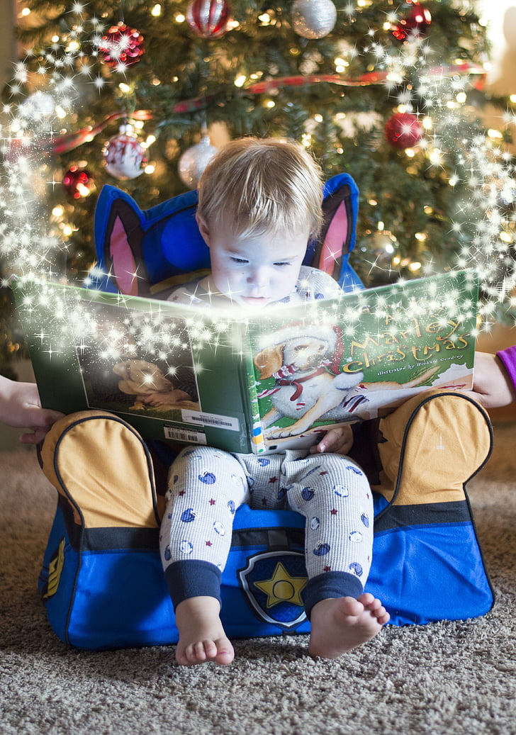 hiver, photographie, enfant, lire, livre, garçon, Christmas
