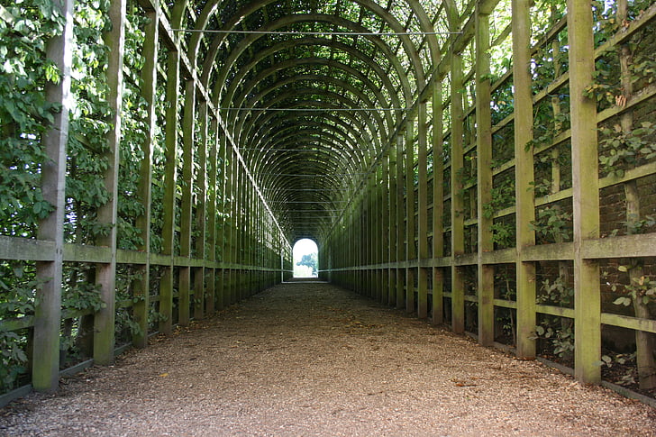 groene tunnel, tunnel, Tuin tunnel, licht aan het eind van de tunnel, leven, bestaan, pad
