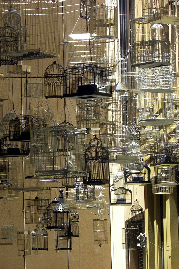 Australie, Sydney, ville, cages à oiseaux