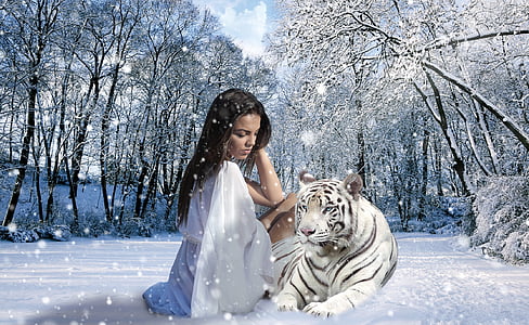 woman, tiger, snow, winter, nature, feelings, look