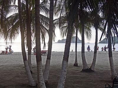 san andrés, colombia, beach, sea, palms