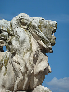 λιοντάρι, εικόνα, μπλε του ουρανού, Μονπελιέ, Γαλλία