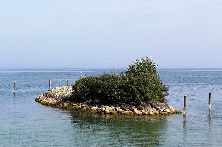 остров, камъни, растителна, идиличното, езеро, Боденското езеро, romanshorn