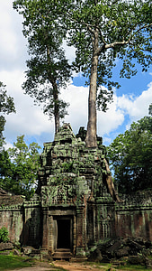 Camboja, Angkor, Templo de, ta prohm, história, Ásia, complexo de templos