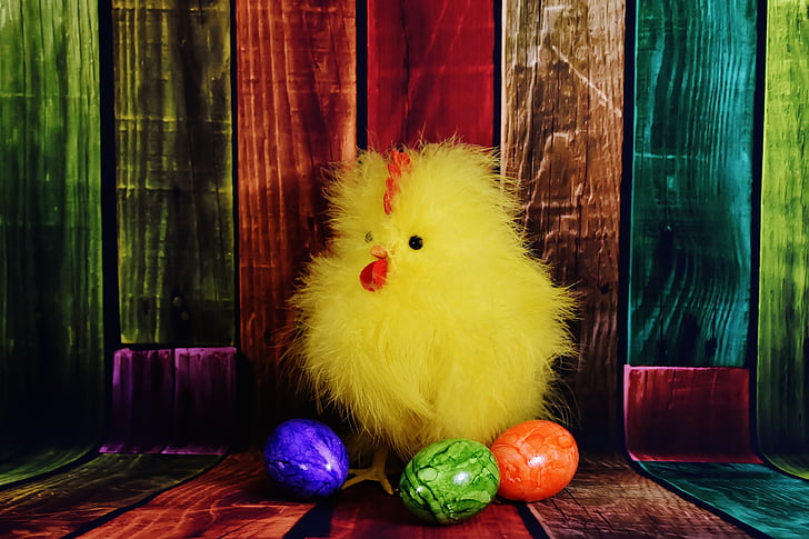 thịt gà, gà con, Lễ phục sinh, quả trứng, trứng Phục sinh, trứng đầy màu sắc, bộ lông
