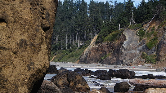 shore, beach, rocky, rocks, coast, indian beach, nature
