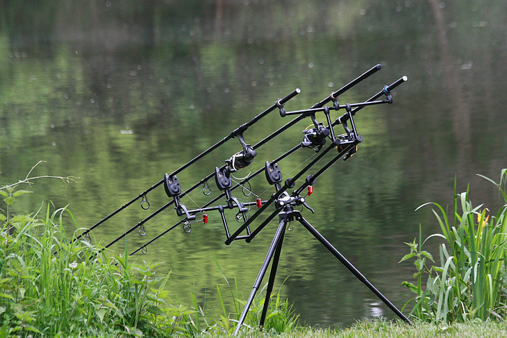 fishing rods, pond, green, water, holidays