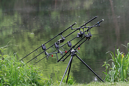 fishing rods, pond, green, water, holidays