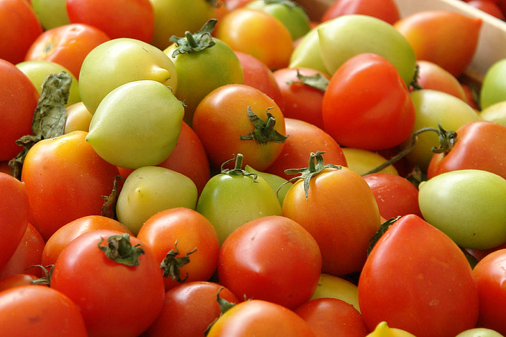 tomatoes, vegetable, food, garden, delicious, market, salad