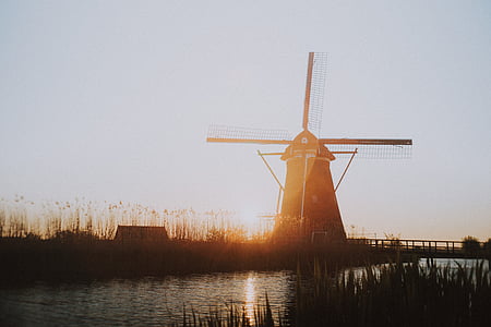 namai, vėjo malūnas, parkas, Nyderlandai, orientyras, kelionės, lauko