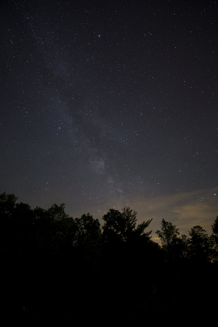 silueta, árboles, noche, cielo, estrellas, noche, Vía Láctea