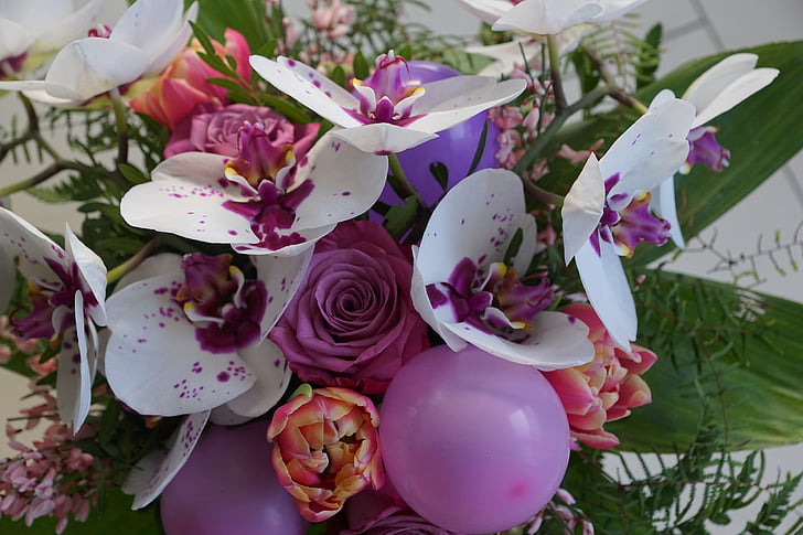 flores, Strauss, Orquídea, colorido