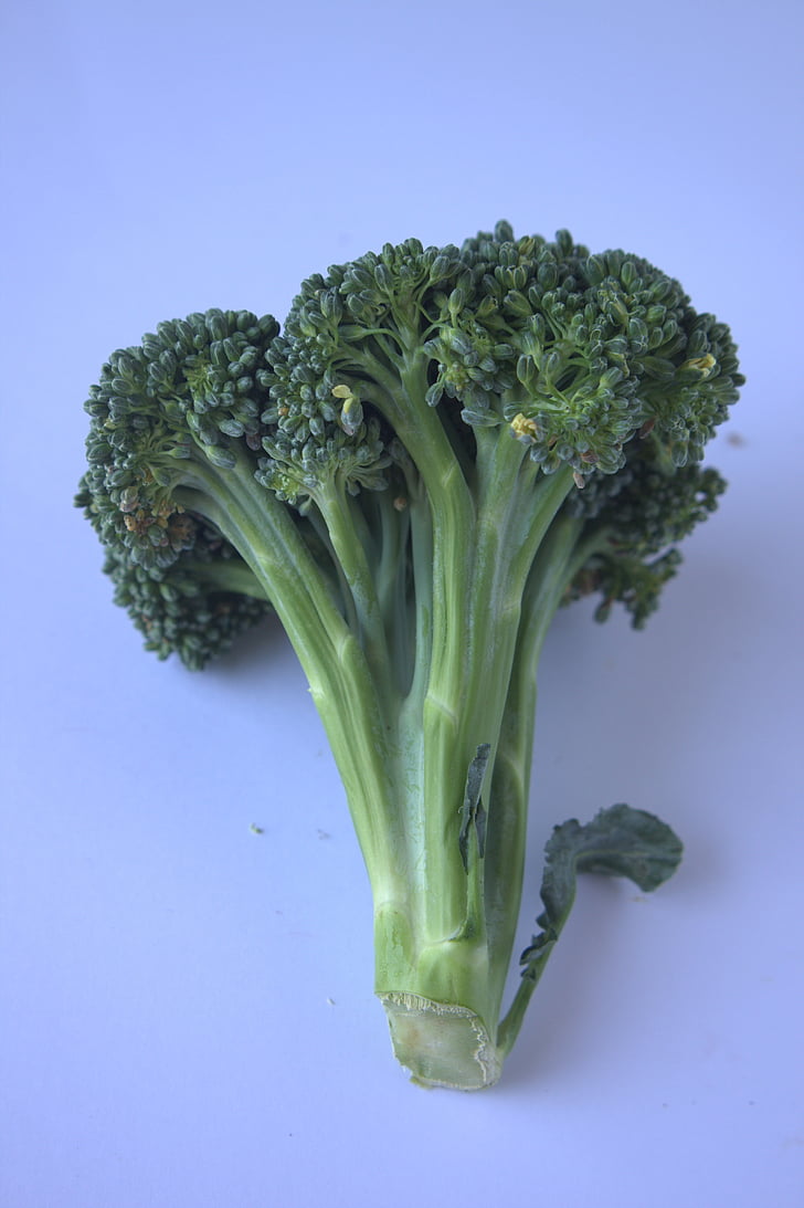 brokolica, zelenina, zdravé, jedlo, Diéta, Zelená, Vegetariánska