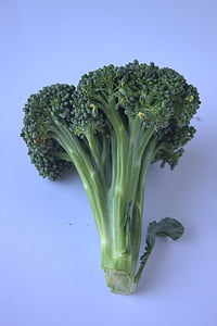 brócolis, produtos hortícolas, saudável, comida, dieta, verde, vegetariano