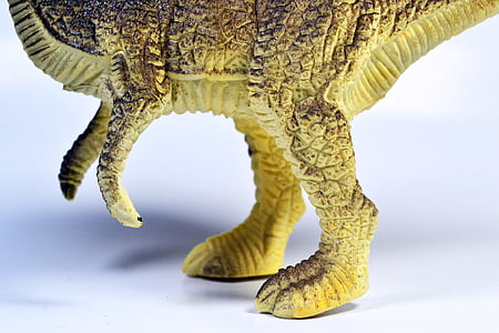 dinosaur, tyrannosaurus, toy, legs, animal, jurassic, predator