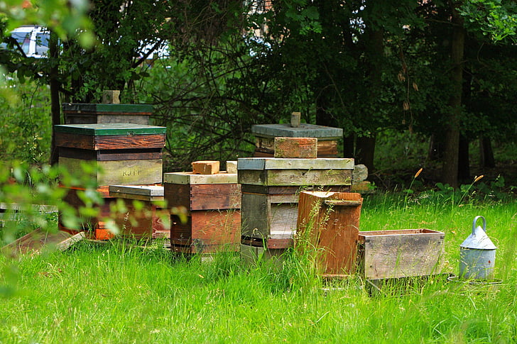 beehive, beehives, outdoors, nature, field, photo, image