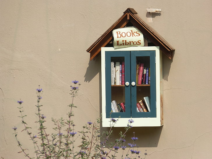 books, reading, library, little library, window, house, facade