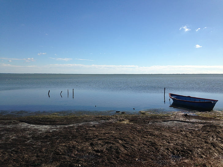 Camargue, езерото, лодка, план за вода, природата