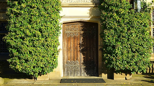 puerta, madera, entrada, madera, Inicio, Casa, diseño