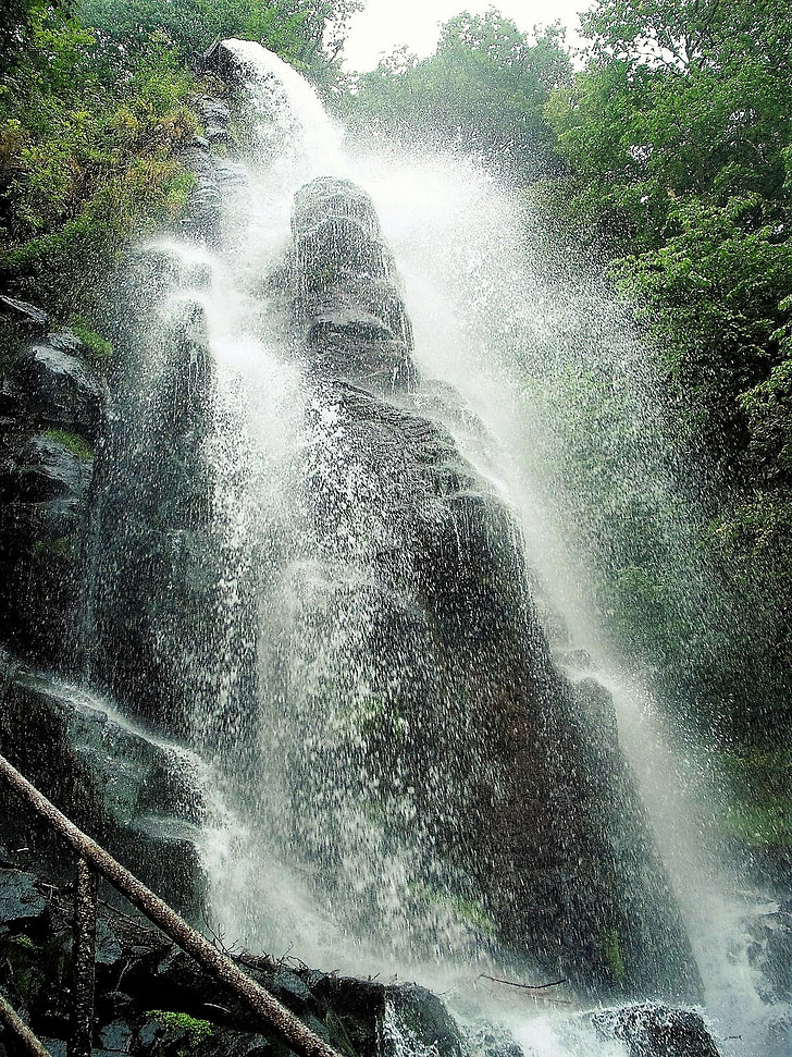 cascada, bosc, natura, paisatge, aigua corrent, relaxació, cascades