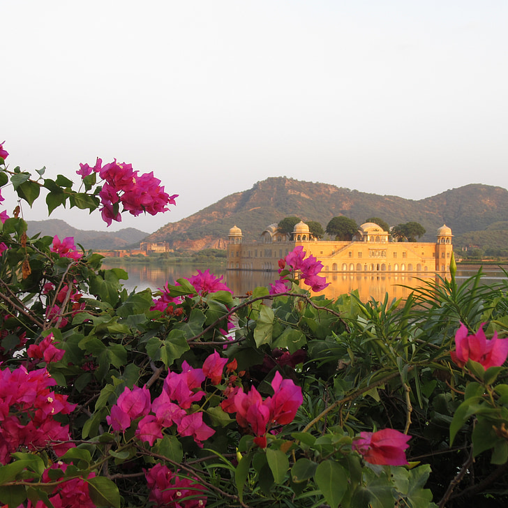 Jaipur, jal mahal, turizmus, víz, Bougainvillea