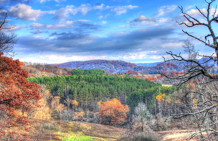 erdő, Wisconsin, ősz, fák, természet, Sky, színek