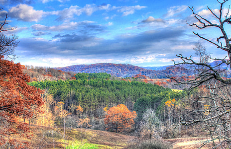 bosque, Wisconsin, otoño, árboles, naturaleza, cielo, colores